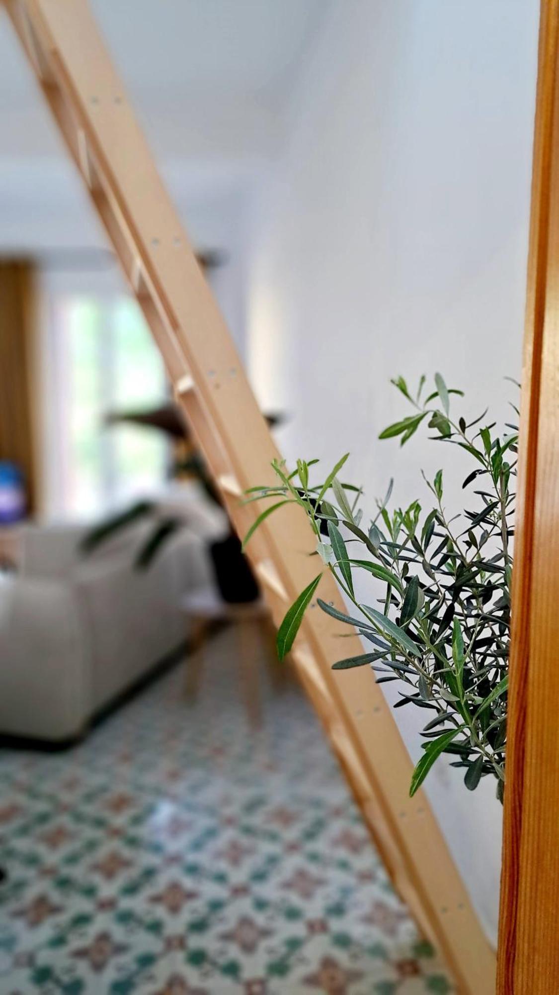 Casa Tramuntana Hotel Tautavel Luaran gambar
